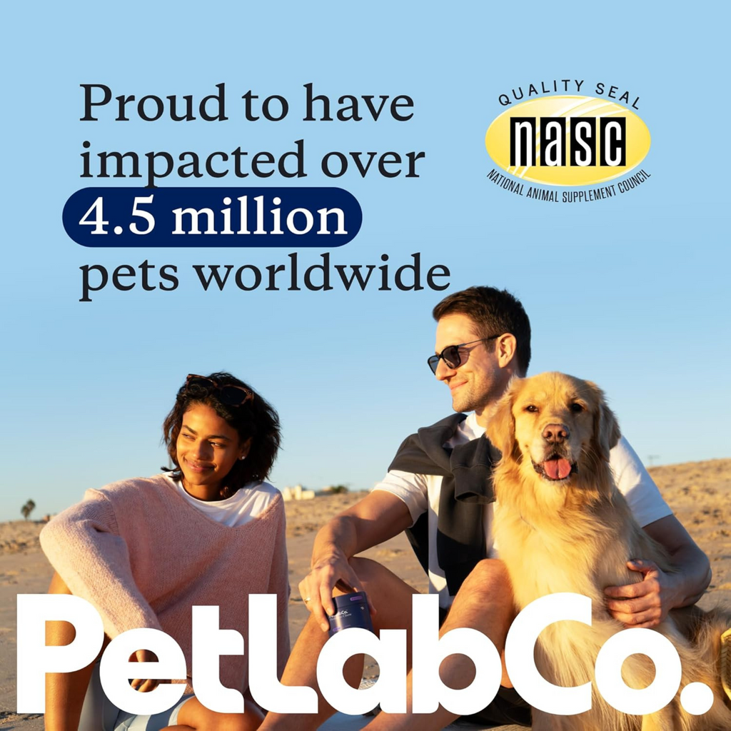 PetLab Co. Probiotics for Dogs – Gut Health & Allergy Support – Pork Flavor Soft Chews (30 Count)
